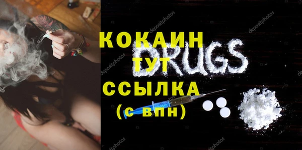 сатива Кодинск