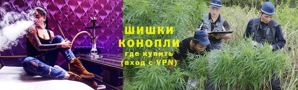 ALPHA PVP Козельск