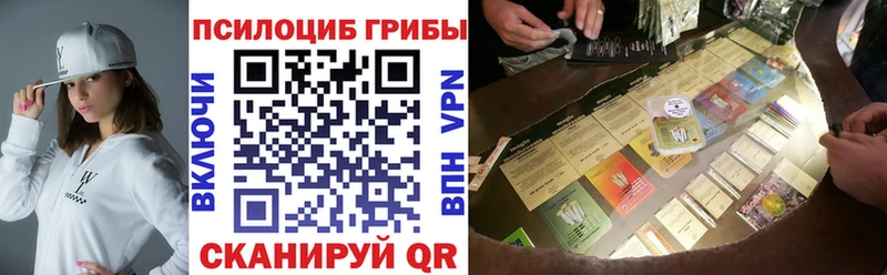 Купить закладки  Северо-Курильск  Галлюциногенные грибы мухоморы 